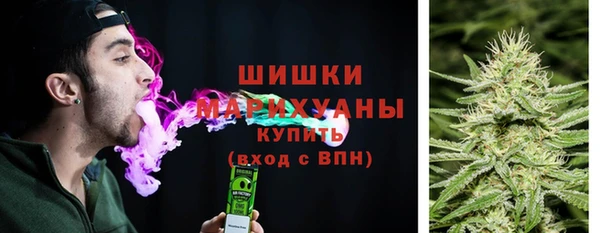 амф Верея