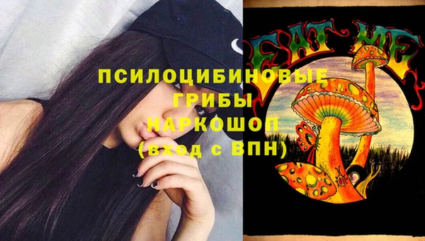 шишки Алапаевск