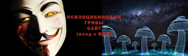 амф Верея